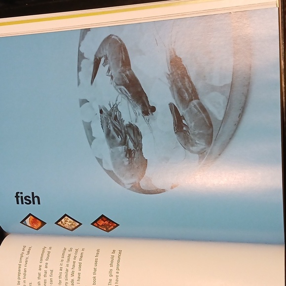 MADHUR JAFFREY, INDIAN COOKING, RECIPE BOOK - Picture 10 of 10